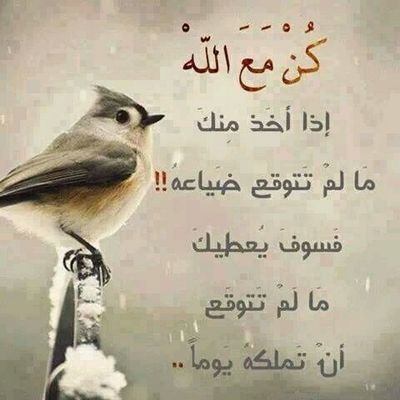 انسانه حساسه جدا محبوبة من الكل ربي يسعدهم ويرحم اميمتي مفضلتي لاتحكي واقعي وانما ماراق لي