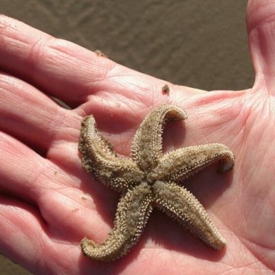 EmyrJanet's profile picture. 