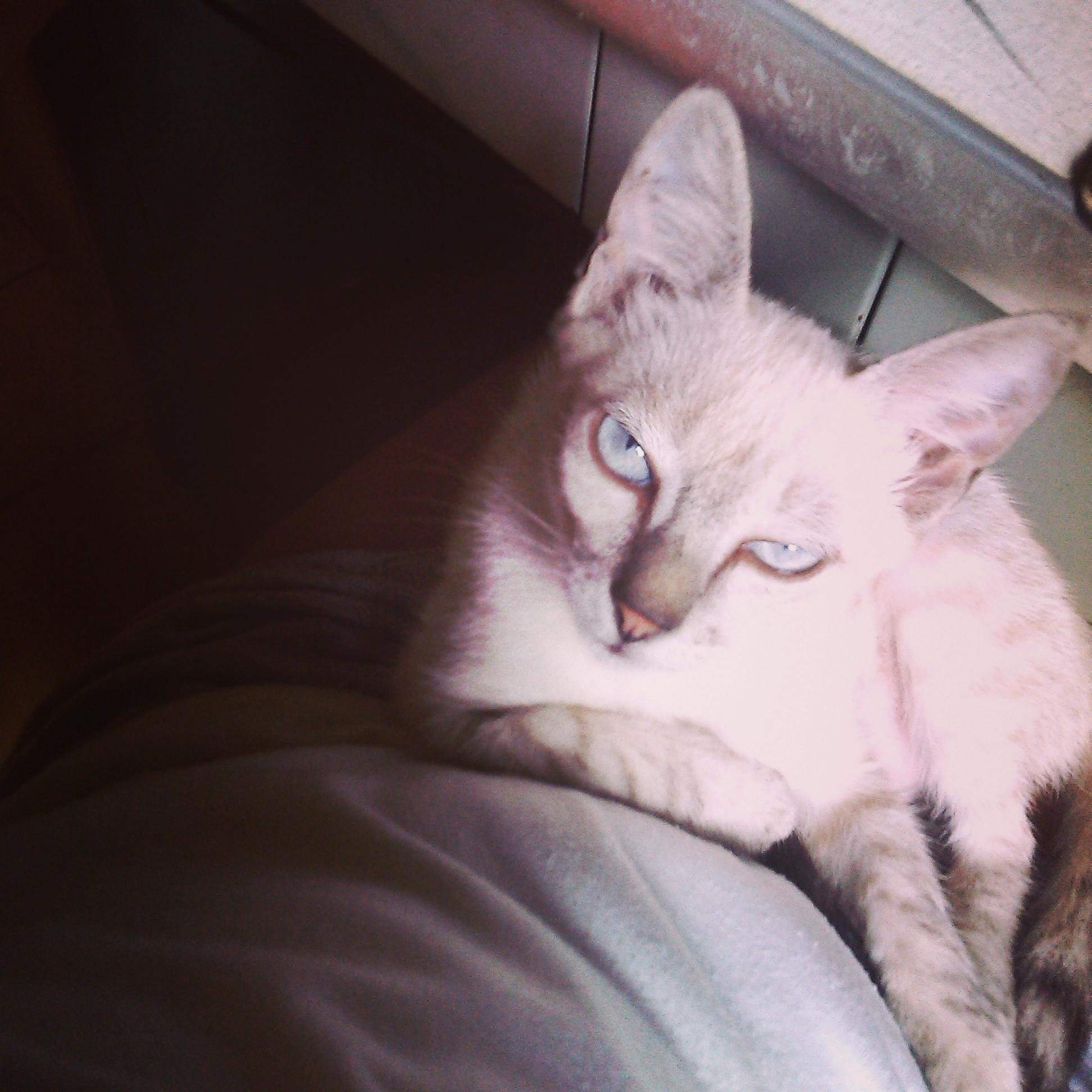 Billisca's profile picture. 