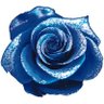 X_Yo_rosekitty's profile picture. X JAPANそしてメンバー、特にYOSHIKIをこよなく愛しております♡ すみれ組最高！運命共同体！we are (• •乂)‼︎