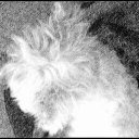 Donna Luffman - @donna_luffman - Twitter