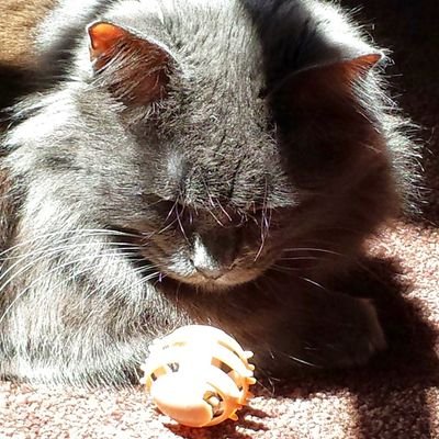 KimBeachley's profile picture. When you're in your own lane, there's no traffic