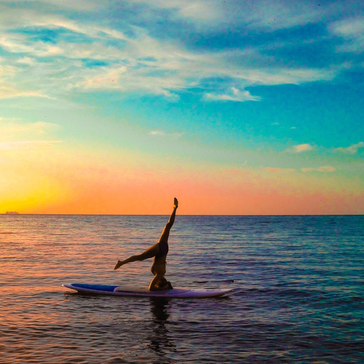 Yoga Teacher, Peace Warrior and Music Maestro !