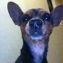 robin junior (@002_robin) Twitter