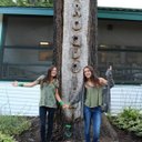 jesse moskowitz - @JesseMoskowitz - Twitter