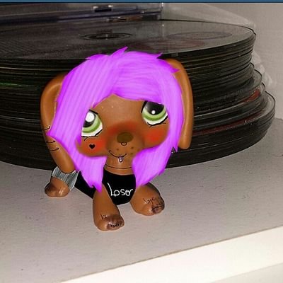 role play account single instagarm ia lps.willow please follow i  have a this crush page post what you think of me c: