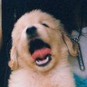 glory_yu - @Peachu999 - Twitter