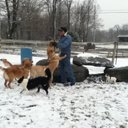 dani pinto - @topnotchdani - Twitter