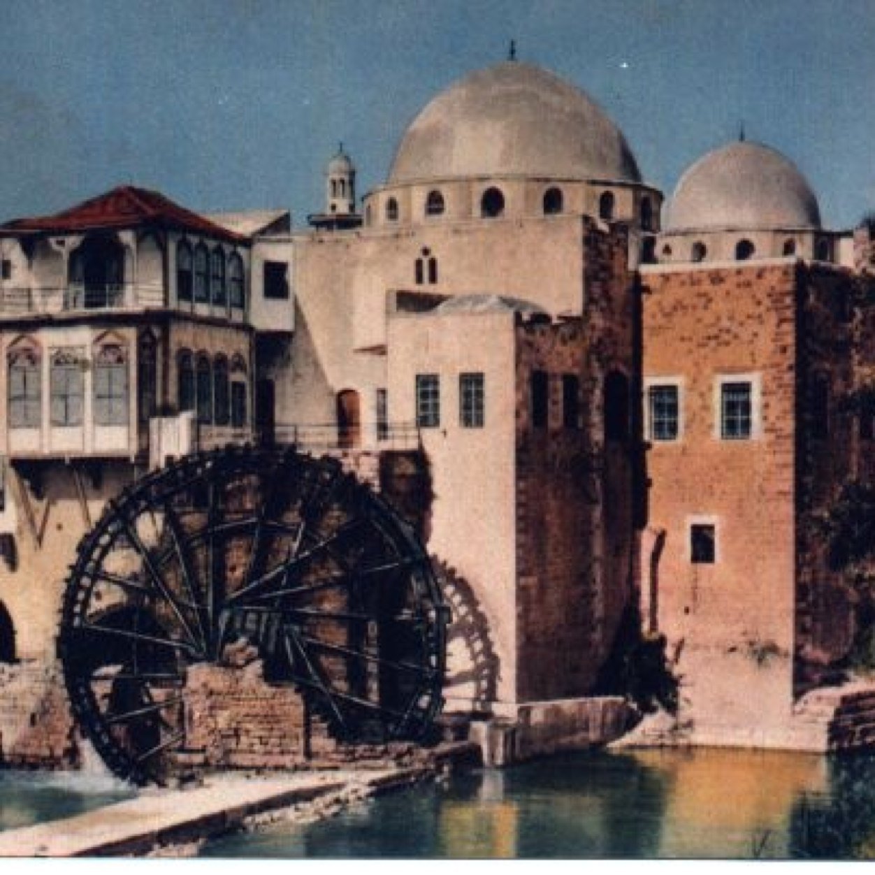 rahmo992's profile picture. 