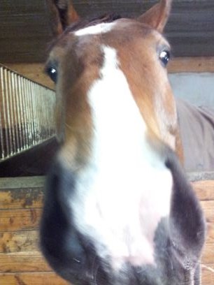 tessan501's profile picture. 