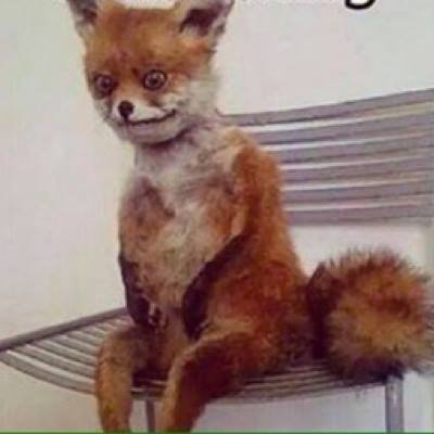 ReganPlant's profile picture. 