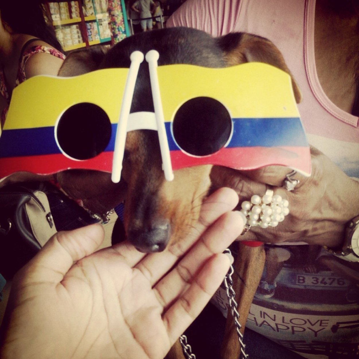 fitocaicedo1's profile picture. Hola Soy Fito caicedo hijo de @dianacaicedo1