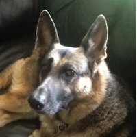 Jeff Baker (@dynobot_jeff) 's Twitter Profile