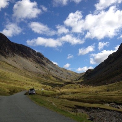 foleygrant's profile picture. 