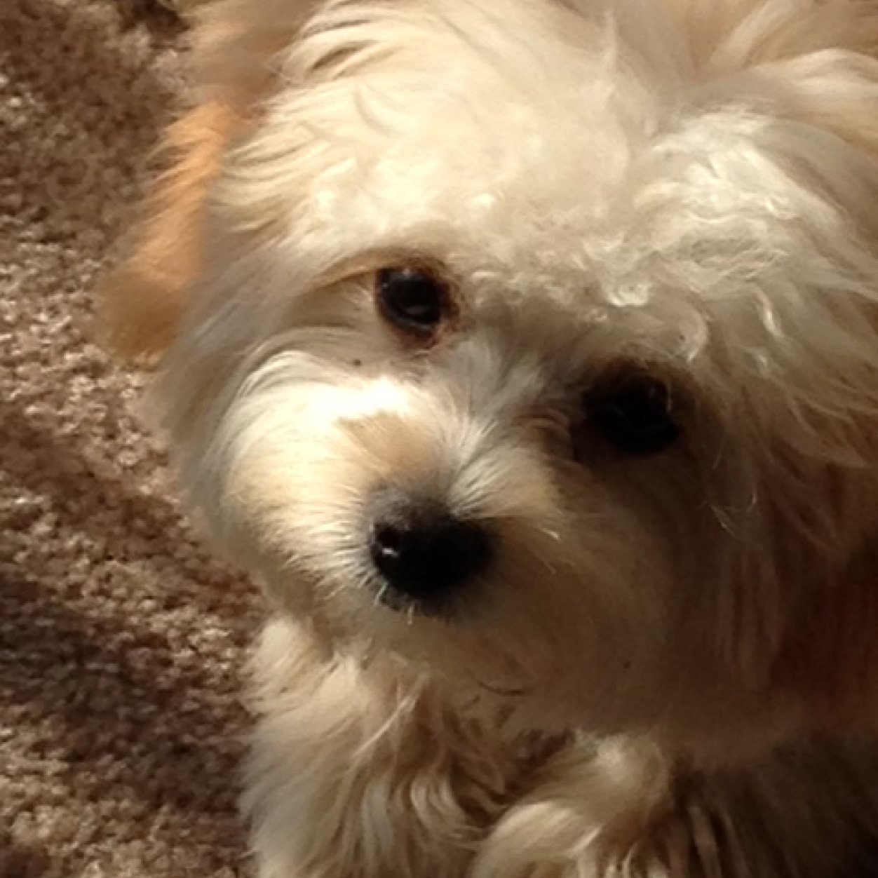 Body_By_Wawa's profile picture. 