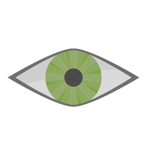 UX/UI Designer