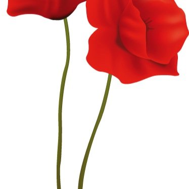 barguell2005's profile picture. 