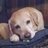 Teacherdude921 retweeted this