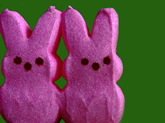 brightstargazer's profile picture. 