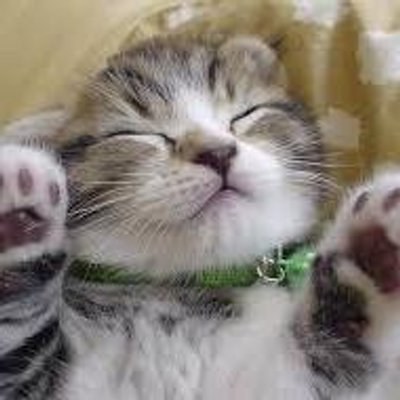 猫好き On Twitter ライトニングに神付いたから闇カリに継承せずにラードラパにそのまま入れられるな