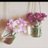 whdh_20's profile image