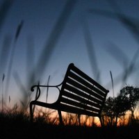 Usitha Rajeevan (Usitha Sivappiragasam) (@usitha_usi) 's Twitter Profile