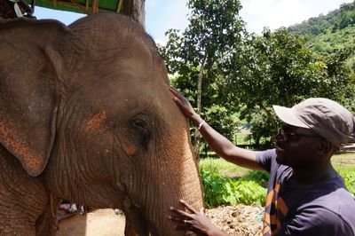 dachyns's profile picture. 