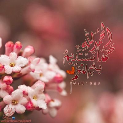 السكوت في بعض المواقف هيبه