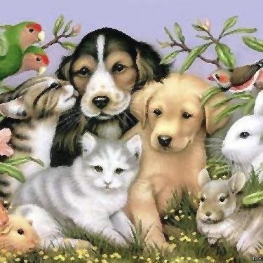 «Хорошему человеку бывает стыдно даже перед собакой» © А.П.Чехов