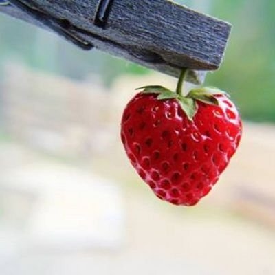 ........  عاشق لسحاب