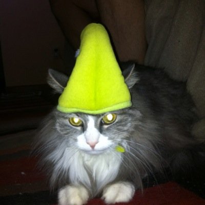 ThaGeoff's profile picture. 