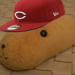 ラジオを聞きTwitterを見てカープを応援する垢。
ポルノグラフィティはいいぞ。