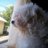 bebs_young's profile image