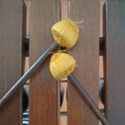 silvanschaer's profile image