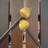 silvanschaer's profile image
