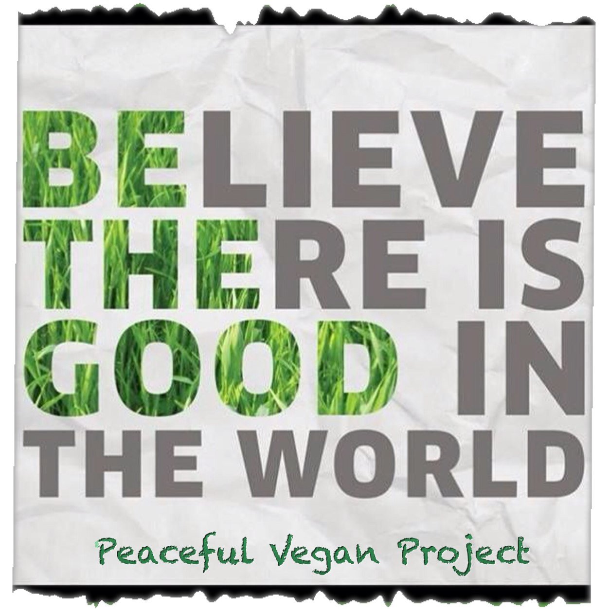 The Peaceful Vegan Project uses the power of positive persuasion paired with peaceful action to inspire & educate non-vegans to embrace vegan habits of living.
