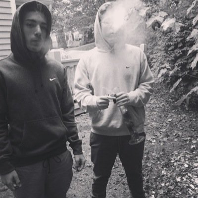 smoke trees