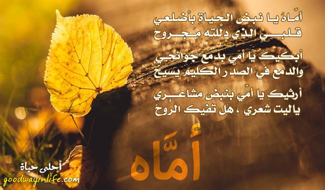 اللهم اغفر لها وتجاوز عنها#