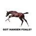 Got Hansen Foals? (@gothansenfoals) Twitter profile photo
