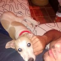 jose miguel (@pajarolocojosem) 's Twitter Profile