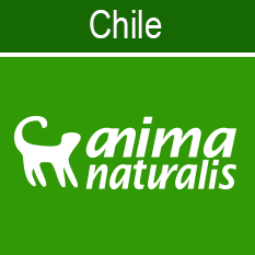 Twitter oficial en #Chile de @AnimaNaturalis /Organización dedicada a establecer, difundir y defender los derechos de TODOS los animales.