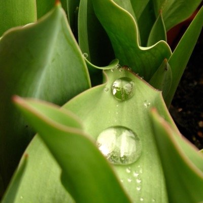 CeravoloMax's profile picture. Director, Professional Imaging Group & Consumer Marketing. Canon Italia