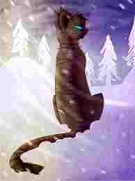 H:Tom mate:sandstorm345 clan:deathclan kits:hawkstorm1 Moon:Wolf male mate:NONE pack:NONE