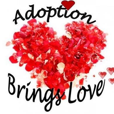 As an adoptive parent, I am passionate about adoption. Please see my inspiring designs and special adoption themed gifts and announcements! #adoptiongifts