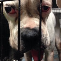 Haley (@halebird98) 's Twitter Profile