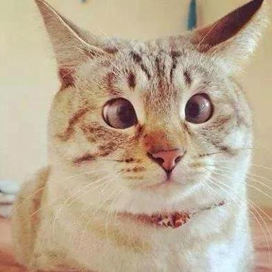 boonsuperza's profile picture. 