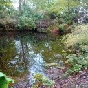 Sue Oakes-Cheshire - @zena599 - Twitter