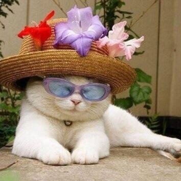 Just chilling out.