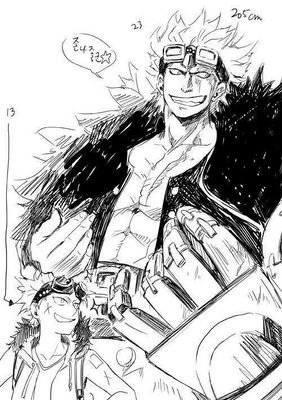 Captain of the Kidd Pirates, Supernova, cold hearted Killer. Don't annoy me unless you want your pitiful life to continue #HatesSundays2014