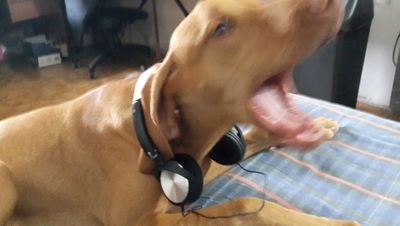 Yesinoe85's profile picture. 